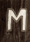Wall_Art_Alphabet_Photography_Art_ 1419